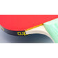 paleta andro r2p fun tenis de mesa ping pong chile proqip tienda online